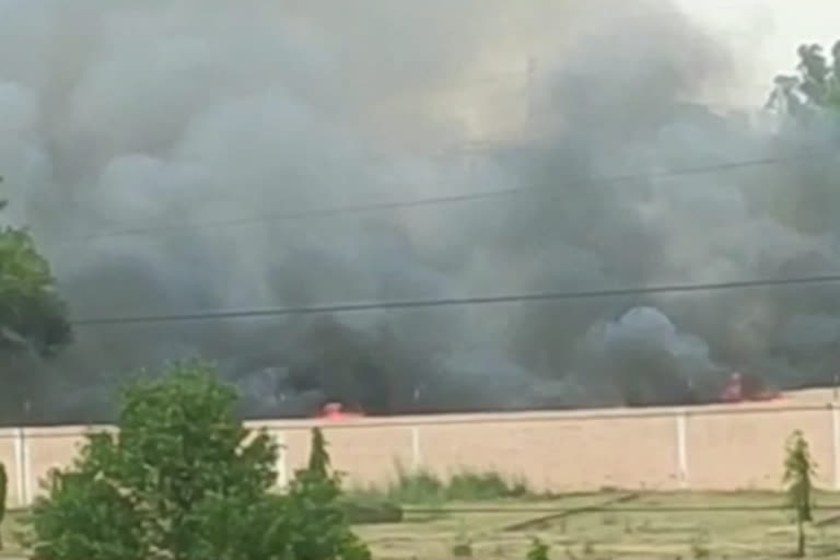 fire breaks in ghaziabad  fire incidents in ghaziabad  ghaziabad fire incidents  madhuban bapudham wheat fire incident  गाजियाबाद में गेहूं की फसल में आग  गाजियाबाद में आग की घटनाएं  गाजियाबाद में गेंहूं की फसल में आग