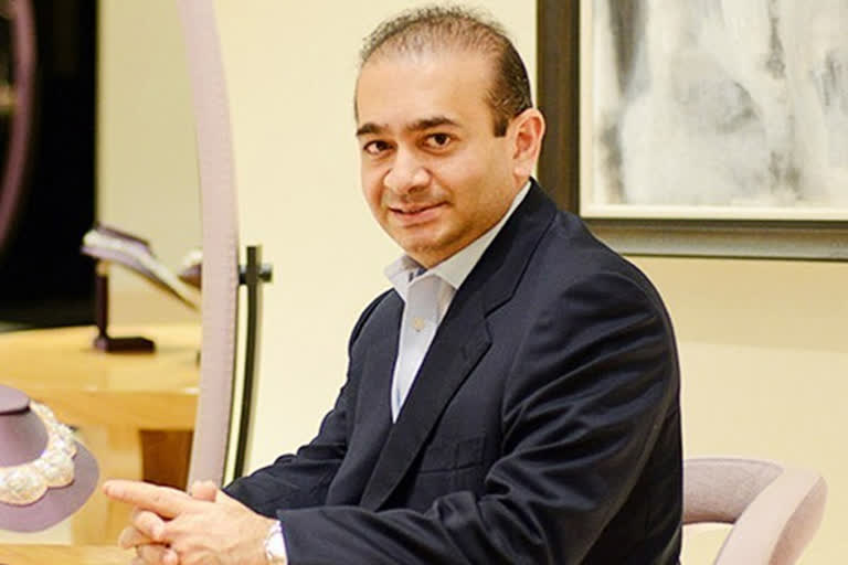 nirav modi