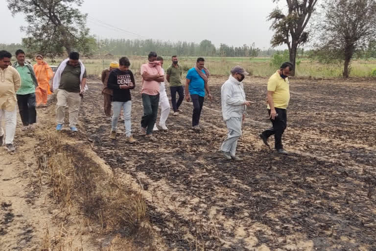 fire in wheat crop in nurpur