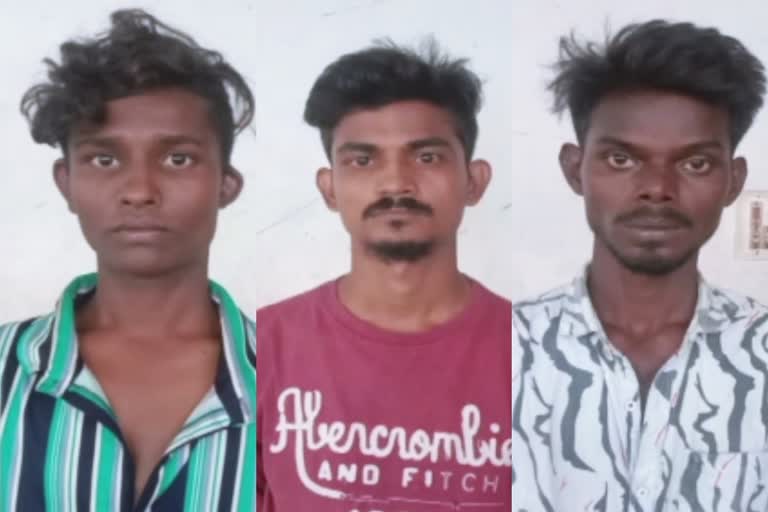 Three arrested for selling cannabis in RK Nagar  selling cannabis  cannabis arrest  கஞ்சா பறிமுதல்  ஆர்கே நகரில் கஞ்சா பறிமுதல்  கஞ்சா விற்பனை மூவர் கைது  கஞ்சா விற்பனை செய்த மூவர் கைது  சென்னை மாவட்ட செய்திகள்  Chennai District News