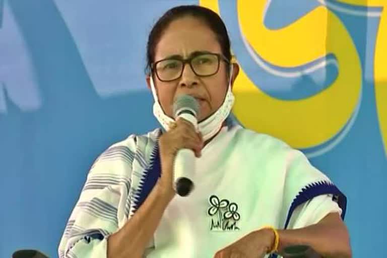 mamta