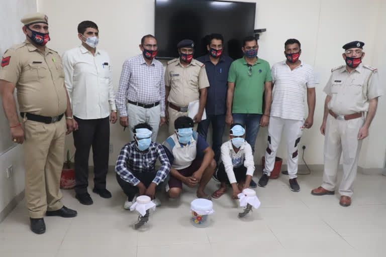 hansi police arrested youths weapons