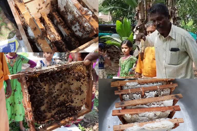 beekeeping lessons from muraleedhran  beekeeping lessons  തേനീച്ച കൃഷി  തേൻ മുരളി  തേനീച്ച കൃഷി വാർത്തകൾ  beekeeping news