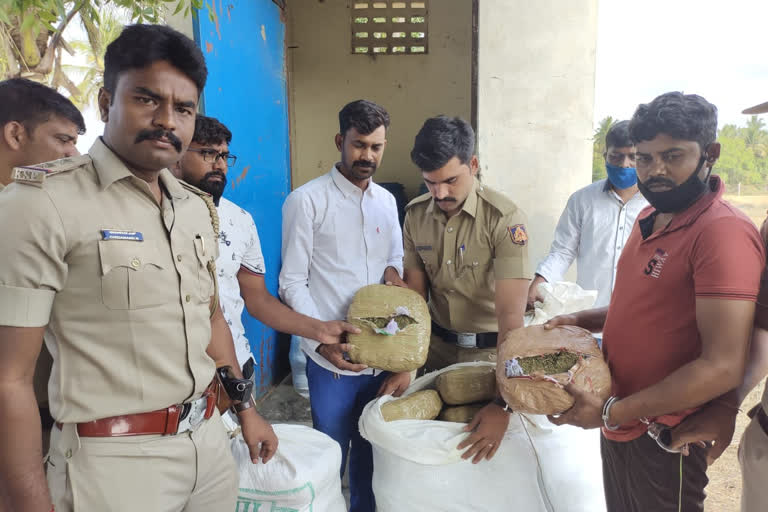 Ganja accused arrested, Ganja accused arrested by Bangalore police, Bangalore crime news, ಗಾಂಜಾ ಮಾರಾಟ ಮಾಡುತ್ತಿದ್ದ ಆರೋಪಿಗಳ ಬಂಧನ, ಬೆಂಗಳೂರು ಪೊಲೀಸರಿಂದ ಗಾಂಜಾ ಮಾರಾಟ ಮಾಡುತ್ತಿದ್ದ ಆರೋಪಿಗಳ ಬಂಧನ, ಬೆಂಗಳೂರು ಅಪರಾಧ ಸುದ್ದಿ,