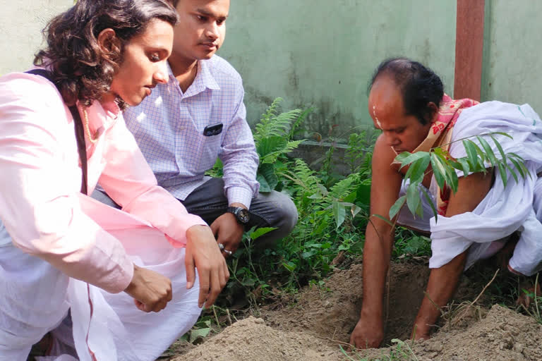 জুবিনৰ আহ্বানৰ প্ৰতি সহাঁৰি জনাই অনুৰাগীৰ গছপুলি ৰোপন