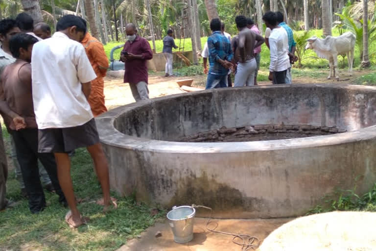 Farmer dies after cow hit