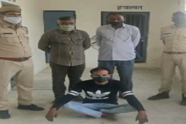 pali news, accused arrested
