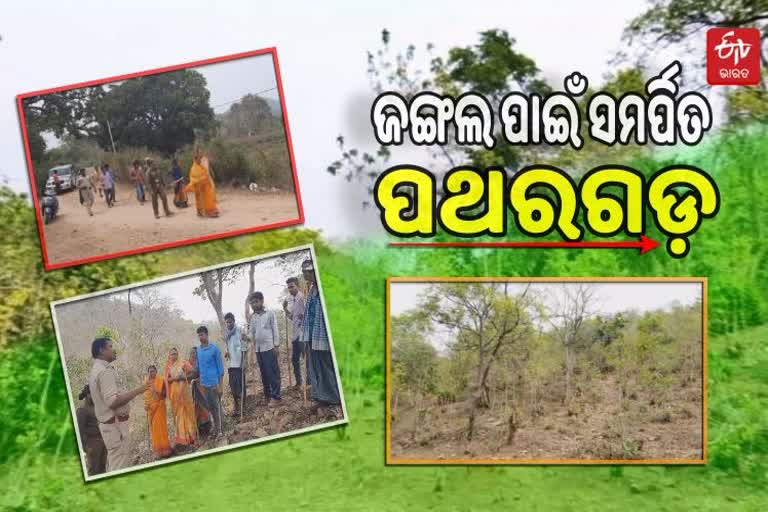 Villagers protection forest in Anugul