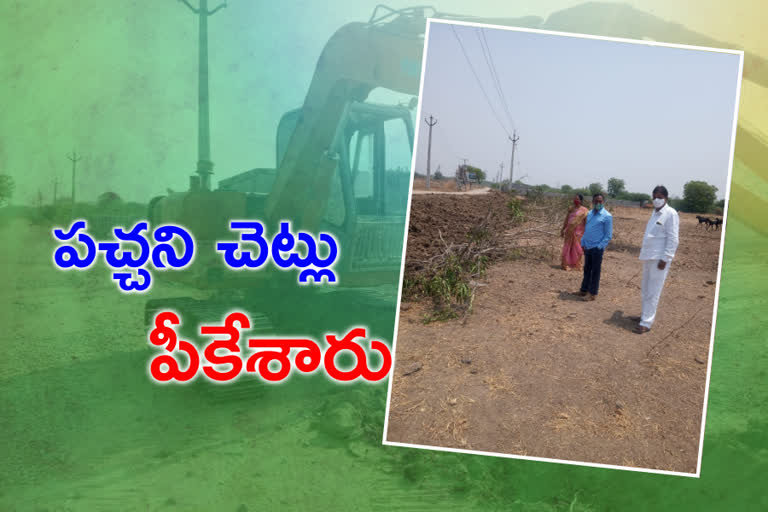 harithaharam trees demolition