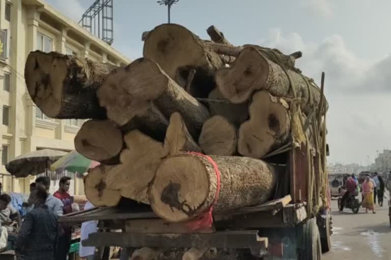 puri chariot wood reach in puri srimandir