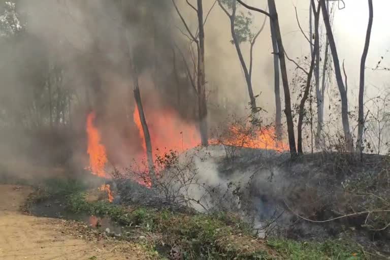 caught-fire-in-the-forest-of-ramgarh