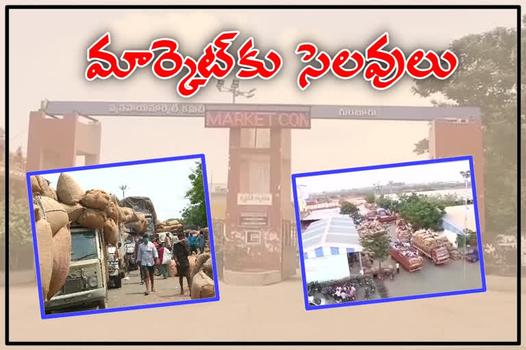 holidays to guntur mirchi yard, five days holidays to mirchi yard