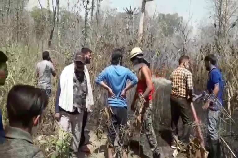 Fire in Rajaji Tiger Reserve area