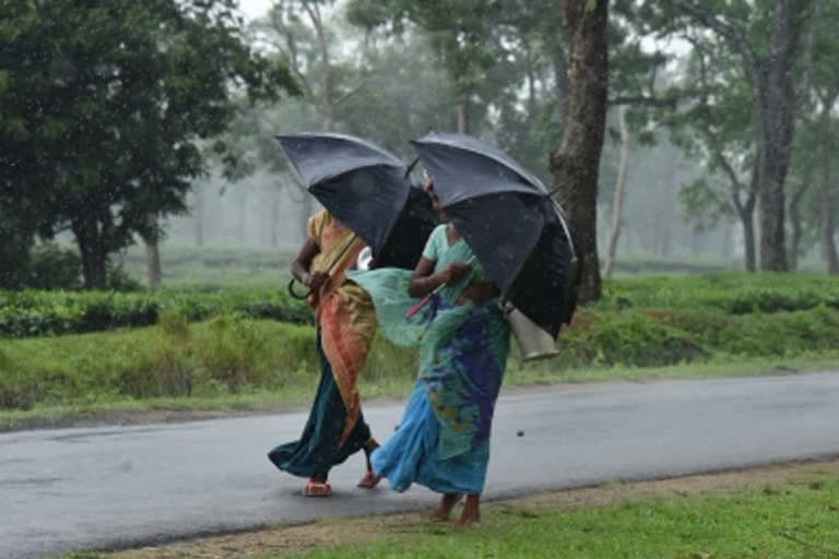 Chennai Meteorological Department has forecast showers in several districts in Tamil Nadu