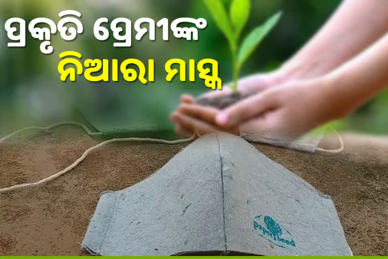 ବଜାରକୁ ଆସିଲା ପ୍ରକୃତି ଅନୁକୂଳ ପେପର ସିଡ ମାସ୍କ, ବ୍ୟବହାର ପରେ ପ୍ରସ୍ତୁତ ହୋଇପାରିବ ଚାରା