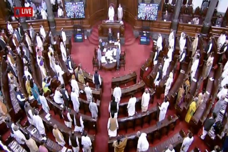 Rajya Sabha, Image