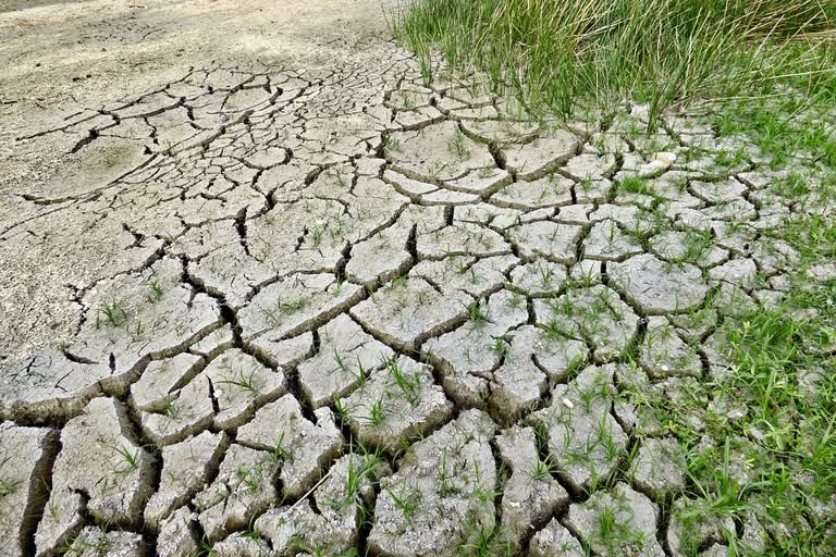 Climate signals danger