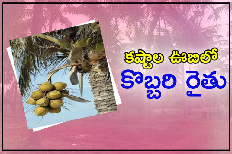 coconut farmers lossed due to corona affect in west godavari