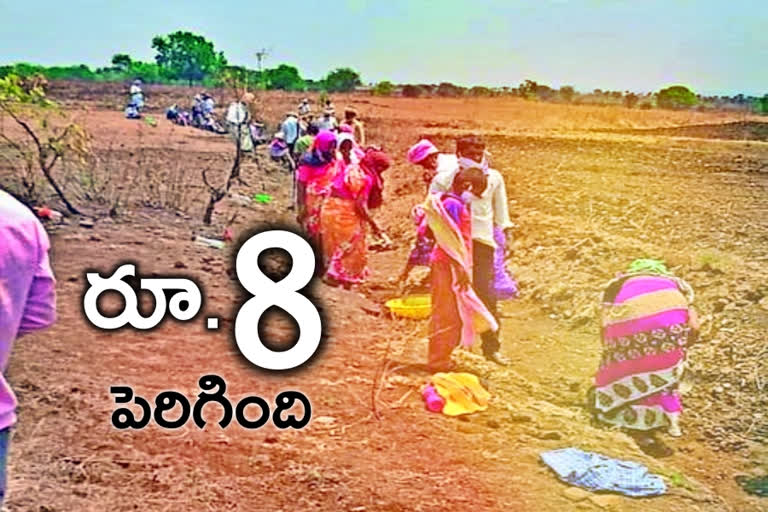 nrega daily wage, nrega daily wage  increased, telangana news