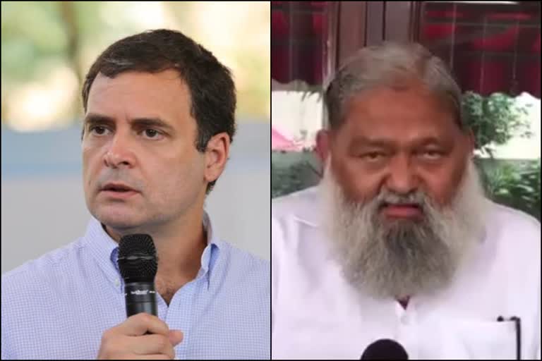 anil vij on rahul gandhi, अनिल विज राहुल गांधी बयान