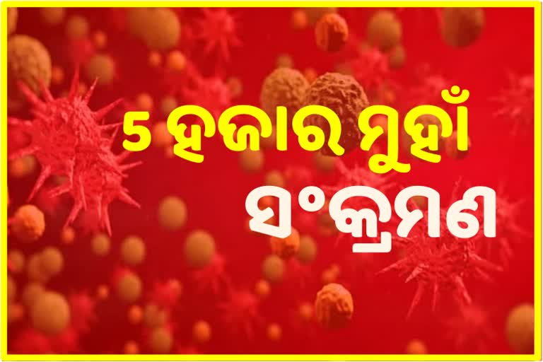 ଦିନକରେ 4851 ପଜିଟିଭ