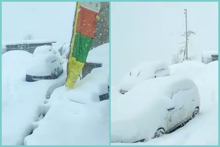 heavy snowfall in Lahaul-Spiti