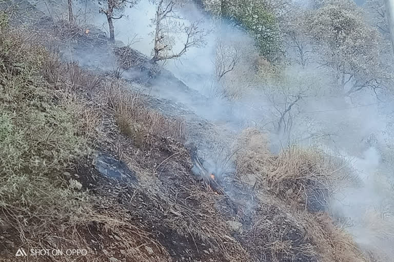 Fire near Mussoorie Woodstock School