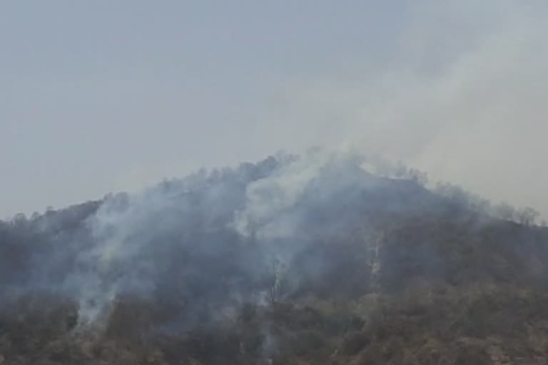 Forest fire case in Haridwar