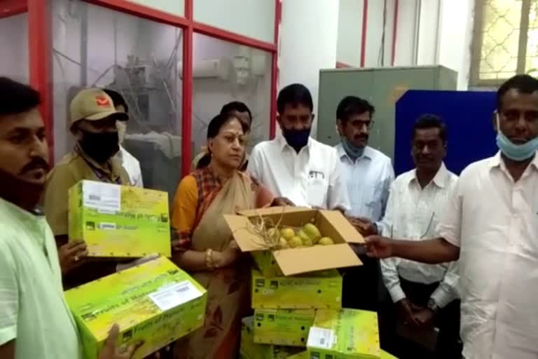 India post to deliver mangoes to doorstep this year also