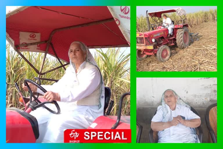 80 year old elderly woman farmer drives tractor for farming