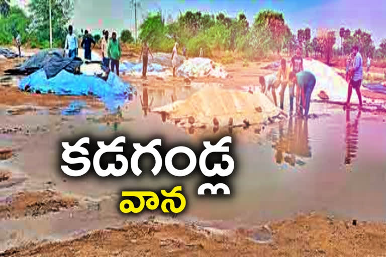 crop loss in nalgonda, crop loss in nalgonda district