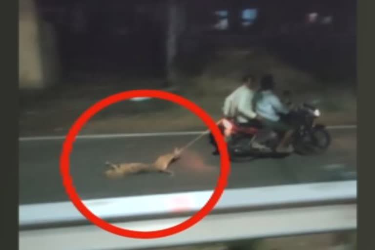  Youth who dragged the dog through bike