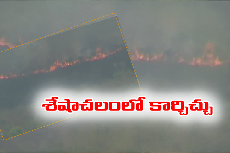 fire accident in sheshachalam forest at chithore district