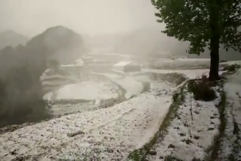 hail-storm-in-dhanaulti