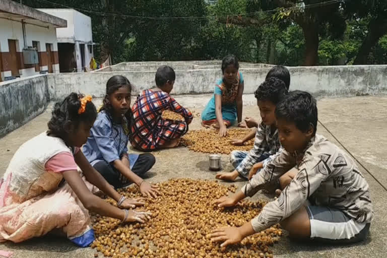 சோப்பு, சானிடைசருக்கு பதில் பூசக் காய்கள்