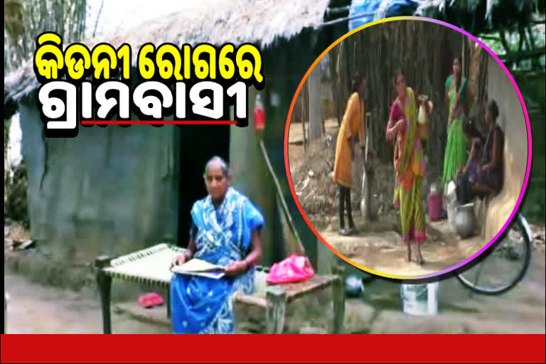 kidney affected village of subarnapur