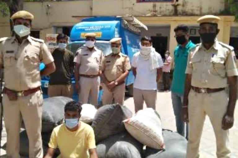 crime news  crime in rajasthan  smuggler arrested  117 kg doda sawdust  चित्तौड़गढ़ न्यूज  डोडा चूरा  तस्कर  राजस्थान क्राइम  मादक पदार्थ