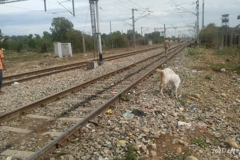 धावत्या रेल्वेसमोर झोकून देत आत्महत्या