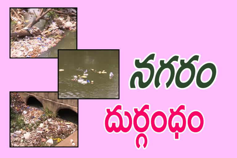 pollution in nellore