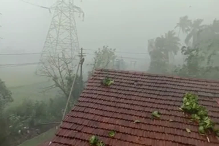 Rain in Shimoga, Mandya