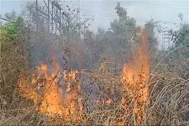 Forest fire near Digwadih Sub Station in dhanbad