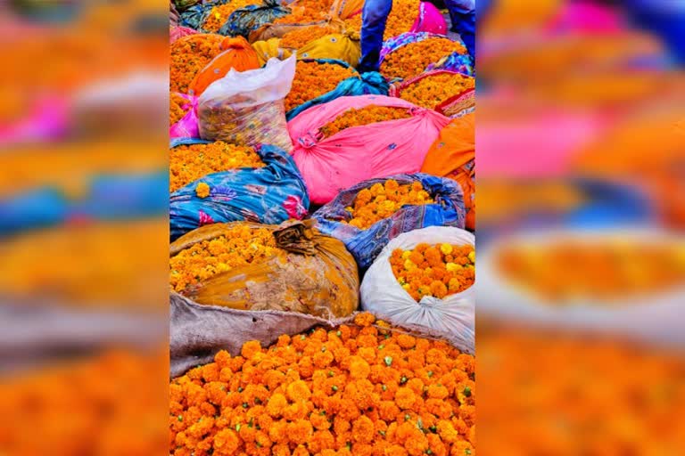 flowers mandi demand in una