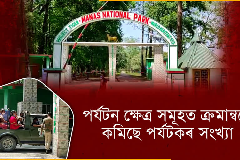 impacted manas national park