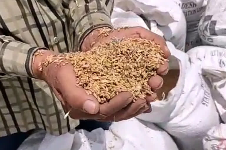 1600 sacks of unclaimed wheat seized