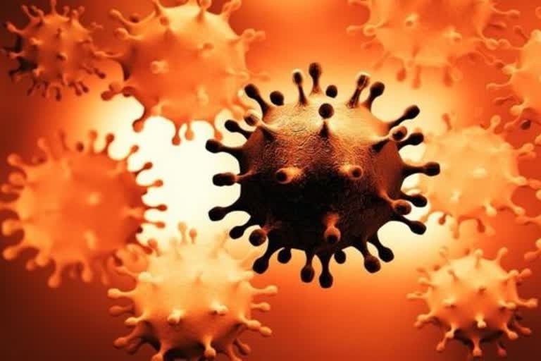 10 corona infected have died in district Kangra