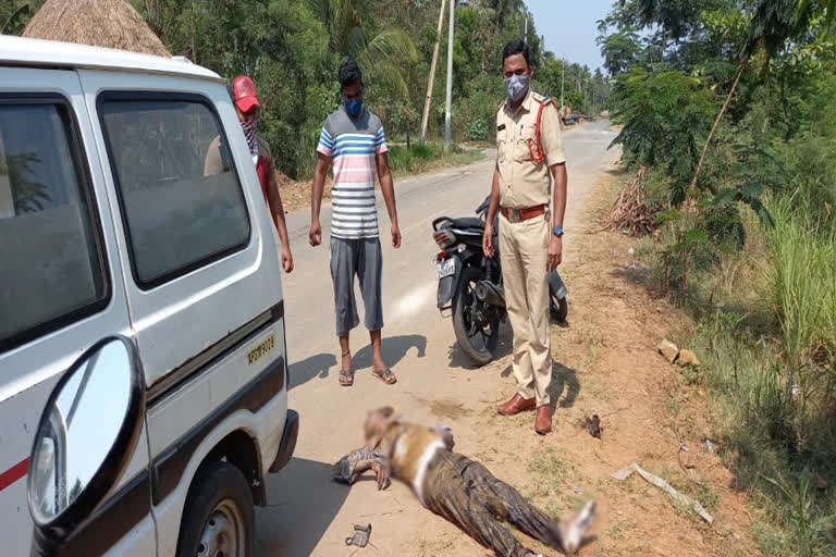 old man suicide with covid fear in anakapalli