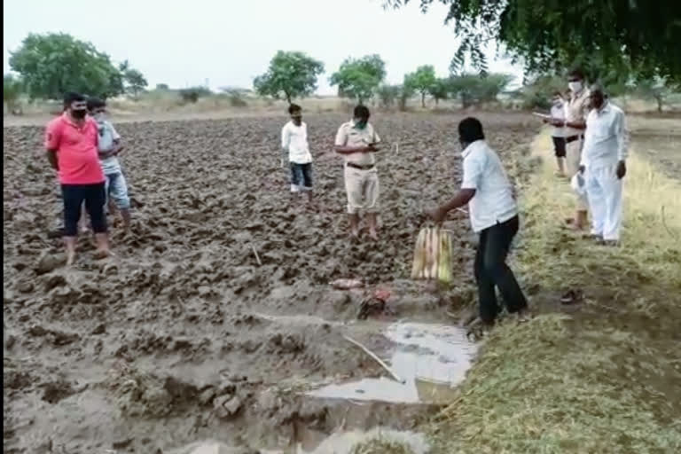 सांगली जिल्ह्यात अवकाळी पावसाची हजेरी