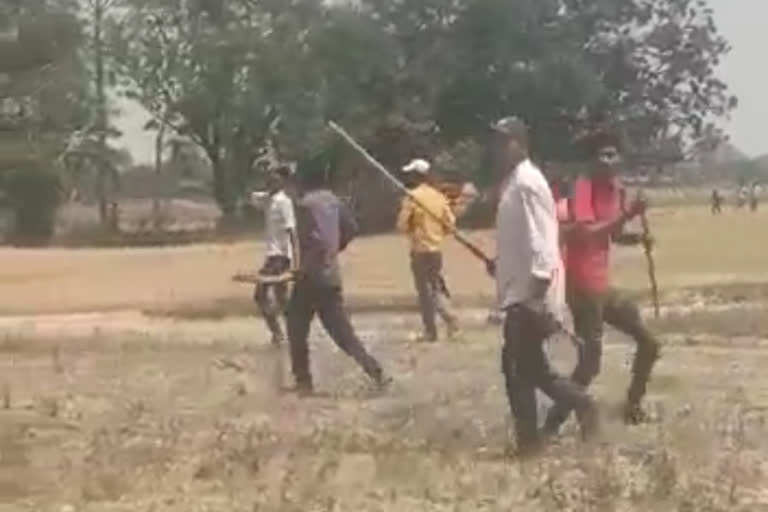 viral video of firing