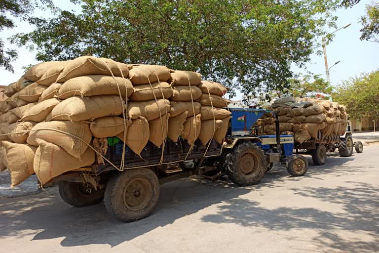 gangavati farmers not silicified with support price for paddy