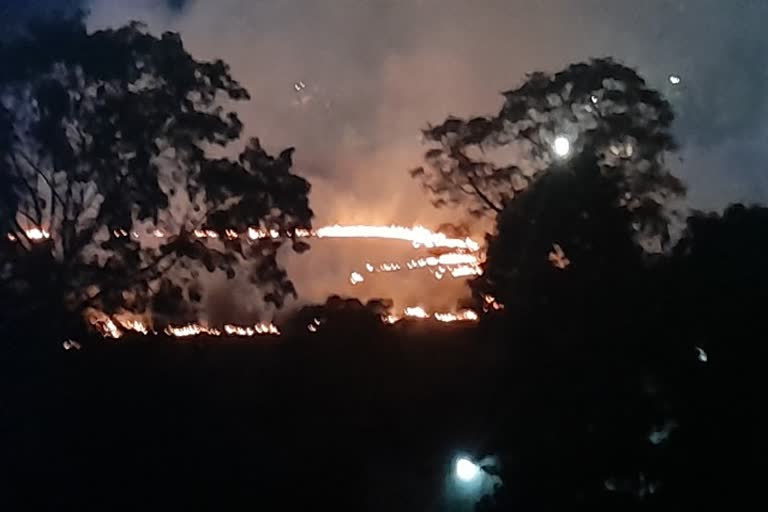 bush fire in jamshedpur